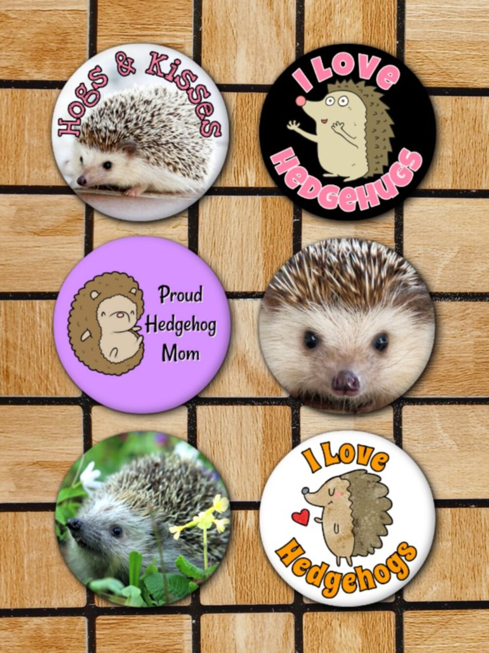 Hedgehog Fridge Magnets Set Of 6 Metal Magnets For Home Office Kitchen School